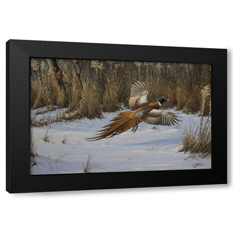 Landing Zone Black Modern Wood Framed Art Print with Double Matting by Goebel, Wilhelm