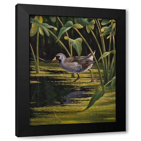 Sora Rail Black Modern Wood Framed Art Print by Goebel, Wilhelm