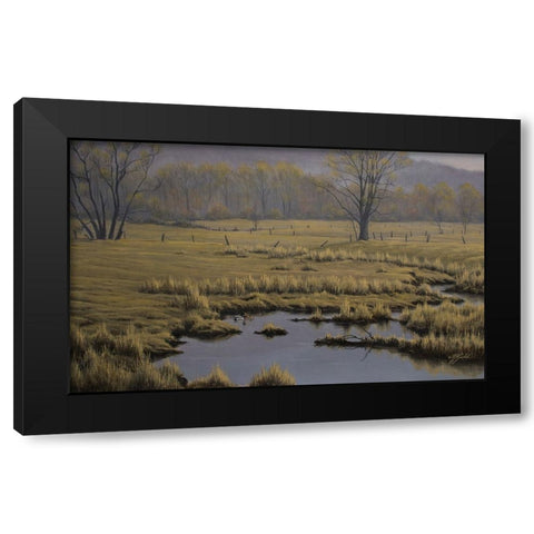 Spring Pasture - Mallard Pair Black Modern Wood Framed Art Print by Goebel, Wilhelm