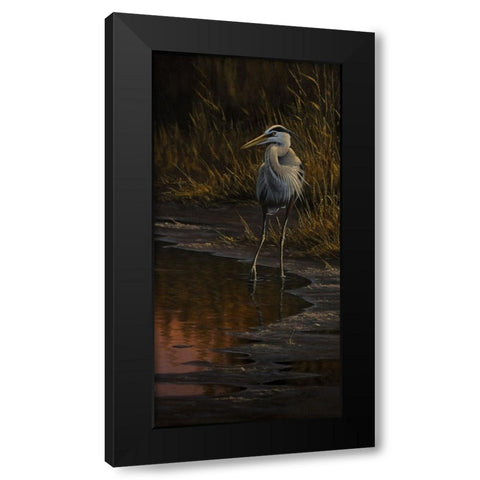Walking The Edge - Great Blue Heron Black Modern Wood Framed Art Print by Goebel, Wilhelm
