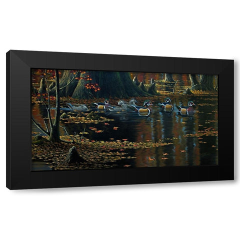 Cypress Jewels - Wood Ducks Black Modern Wood Framed Art Print with Double Matting by Goebel, Wilhelm