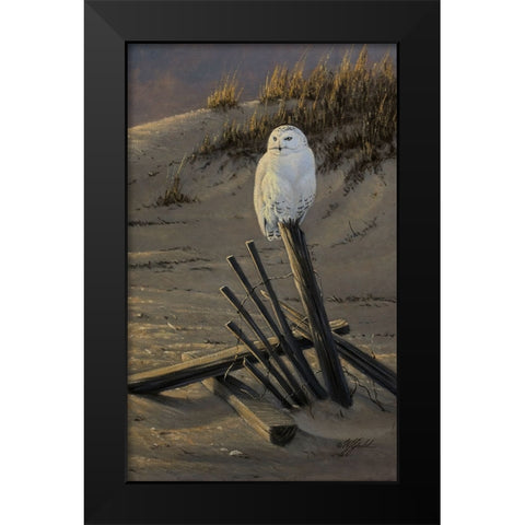 Dune Watcher - Snowy Owl Black Modern Wood Framed Art Print by Goebel, Wilhelm
