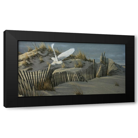 Launch - Snowy Owl Black Modern Wood Framed Art Print by Goebel, Wilhelm