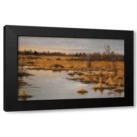 Muskrat Marsh Black Modern Wood Framed Art Print with Double Matting by Goebel, Wilhelm