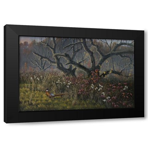 Old Orchard and Pheasant Black Modern Wood Framed Art Print by Goebel, Wilhelm