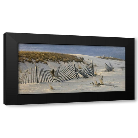 Passage - Peregrine Falcon Black Modern Wood Framed Art Print with Double Matting by Goebel, Wilhelm