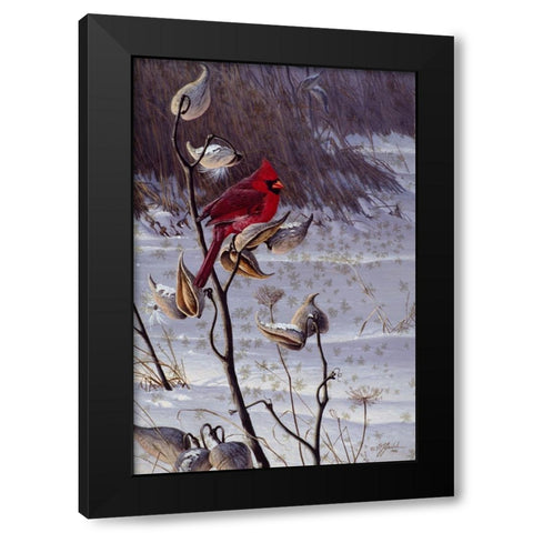 Cardinal And Milkweed Black Modern Wood Framed Art Print by Goebel, Wilhelm