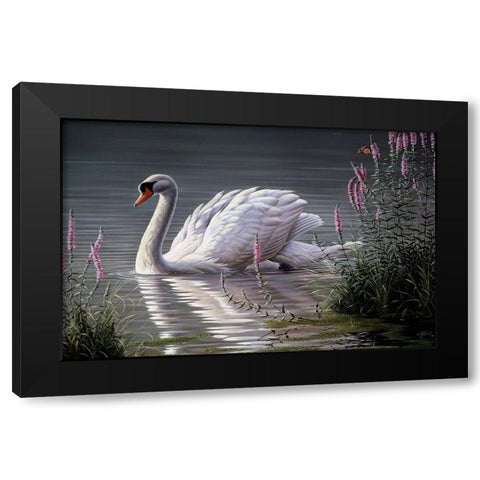 Summer Idyll - Mute Swan Black Modern Wood Framed Art Print with Double Matting by Goebel, Wilhelm