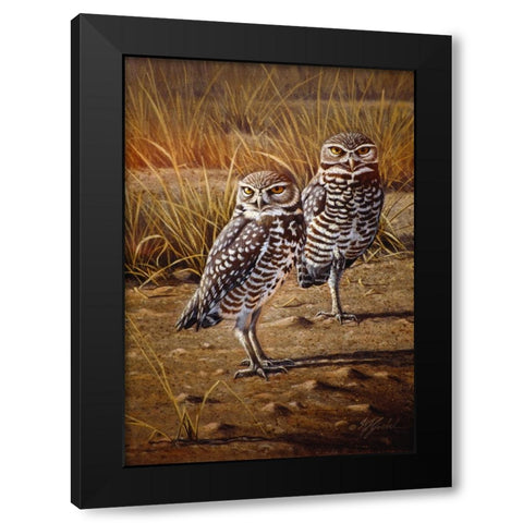 Burrowing Owls Black Modern Wood Framed Art Print with Double Matting by Goebel, Wilhelm