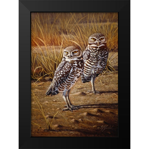 Burrowing Owls Black Modern Wood Framed Art Print by Goebel, Wilhelm