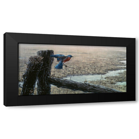April Showers - Eastern Bluebird Black Modern Wood Framed Art Print with Double Matting by Goebel, Wilhelm