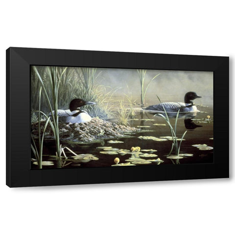 Nesting Loons Black Modern Wood Framed Art Print by Goebel, Wilhelm