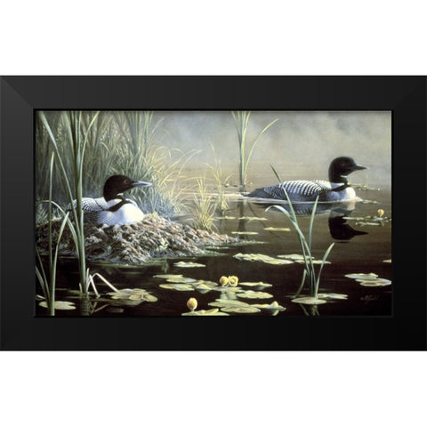 Nesting Loons Black Modern Wood Framed Art Print by Goebel, Wilhelm