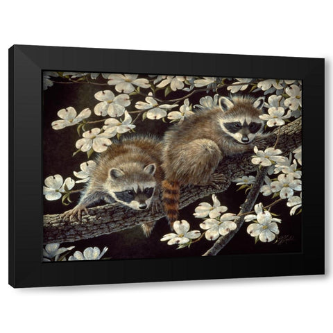 Dogwood Hideout - Young Raccoons Black Modern Wood Framed Art Print with Double Matting by Goebel, Wilhelm
