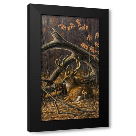 Bedded Buck Black Modern Wood Framed Art Print by Goebel, Wilhelm