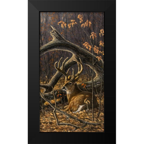 Bedded Buck Black Modern Wood Framed Art Print by Goebel, Wilhelm