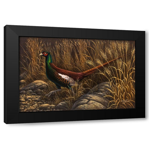Bianchi Pheasant Black Modern Wood Framed Art Print by Goebel, Wilhelm