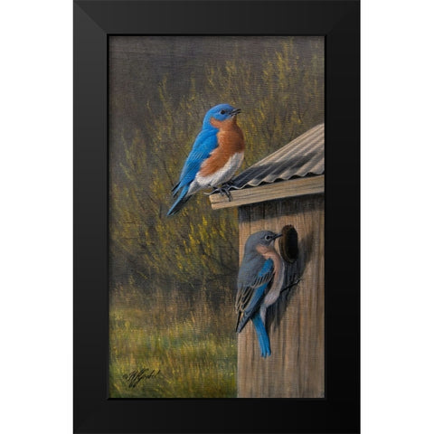Bluebirds at Home Black Modern Wood Framed Art Print by Goebel, Wilhelm