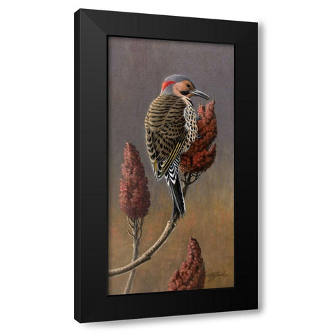 Flicker on Sumac Black Modern Wood Framed Art Print by Goebel, Wilhelm