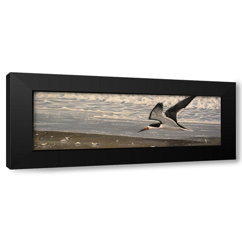 Flying Solo Black Modern Wood Framed Art Print with Double Matting by Goebel, Wilhelm