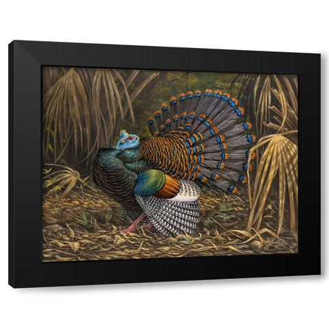 Ocellated Turkey Black Modern Wood Framed Art Print by Goebel, Wilhelm