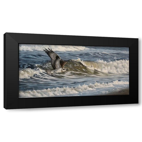 Osprey and Surf Black Modern Wood Framed Art Print with Double Matting by Goebel, Wilhelm