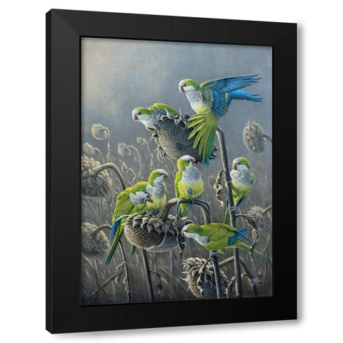 Parakeet Treat Black Modern Wood Framed Art Print by Goebel, Wilhelm
