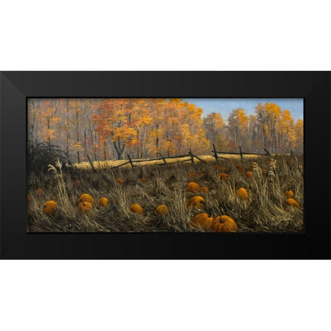 Pumpkin Patch Black Modern Wood Framed Art Print by Goebel, Wilhelm