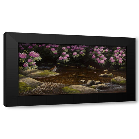 Spring Run Black Modern Wood Framed Art Print with Double Matting by Goebel, Wilhelm