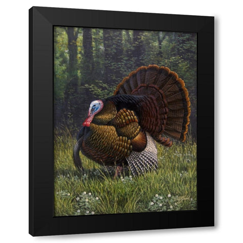 Spring Strut Black Modern Wood Framed Art Print by Goebel, Wilhelm