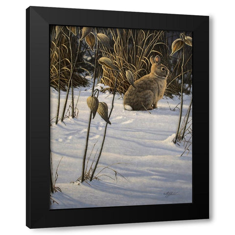 Winter Cottontail Black Modern Wood Framed Art Print by Goebel, Wilhelm