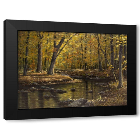 Woodland Brook Black Modern Wood Framed Art Print with Double Matting by Goebel, Wilhelm