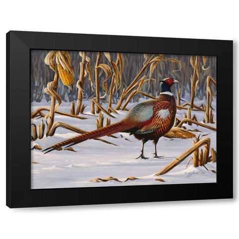 Corn Row Ringneck Black Modern Wood Framed Art Print with Double Matting by Goebel, Wilhelm