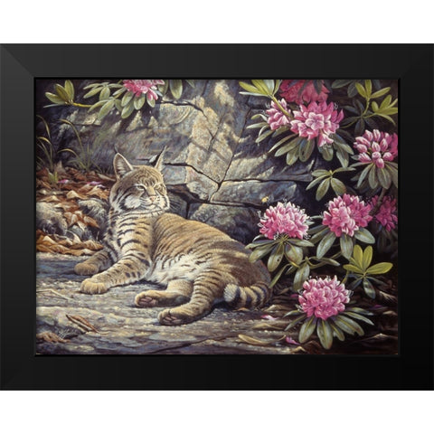 Bee Watching Bobcat Black Modern Wood Framed Art Print by Goebel, Wilhelm