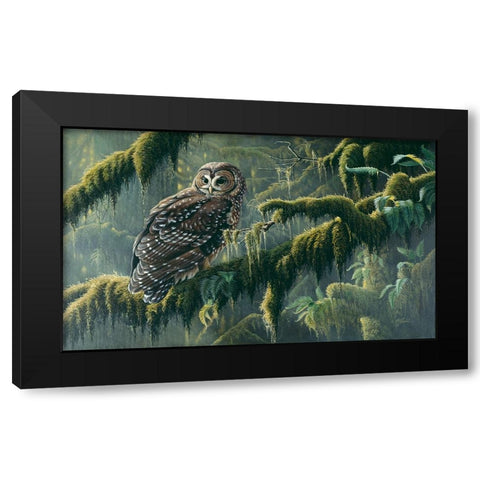 Spirit Of Ancient Forests - Spotted Owl Black Modern Wood Framed Art Print by Goebel, Wilhelm