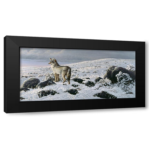 Open Country - Coyote Black Modern Wood Framed Art Print by Goebel, Wilhelm