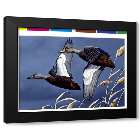 1984 Black Ducks Black Modern Wood Framed Art Print with Double Matting by Goebel, Wilhelm