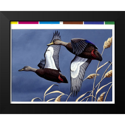 1984 Black Ducks Black Modern Wood Framed Art Print by Goebel, Wilhelm