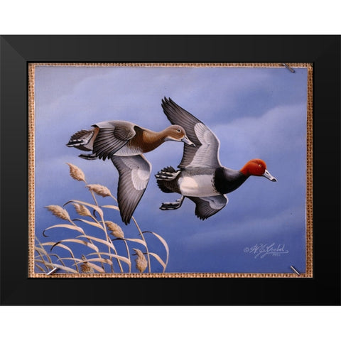 1986 Redhead Ducks Black Modern Wood Framed Art Print by Goebel, Wilhelm