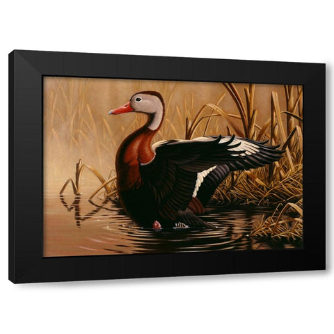 1988 Black Bellied Whistling Duck Black Modern Wood Framed Art Print by Goebel, Wilhelm