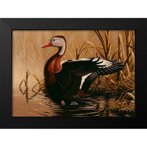 1988 Black Bellied Whistling Duck Black Modern Wood Framed Art Print by Goebel, Wilhelm