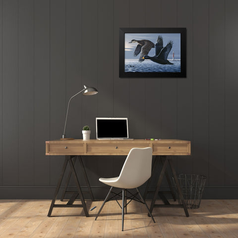 1990 Black Scoters Black Modern Wood Framed Art Print by Goebel, Wilhelm