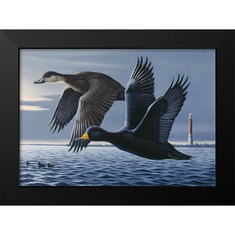 1990 Black Scoters Black Modern Wood Framed Art Print by Goebel, Wilhelm