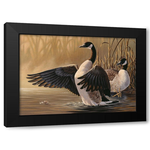 1994 Canada Geese Black Modern Wood Framed Art Print by Goebel, Wilhelm