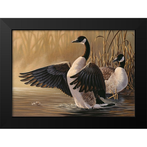 1994 Canada Geese Black Modern Wood Framed Art Print by Goebel, Wilhelm