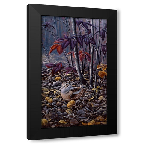 Autumn Colors- Woodcock Black Modern Wood Framed Art Print by Goebel, Wilhelm
