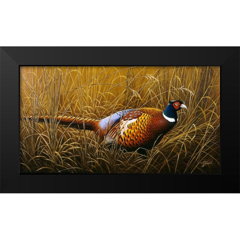 Sneaking Through The Long Grass - Ring Neck Pheasant Black Modern Wood Framed Art Print by Goebel, Wilhelm