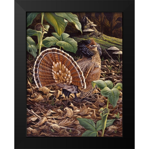 May Display - Ruffed Grouse Black Modern Wood Framed Art Print by Goebel, Wilhelm