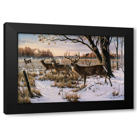 Cautious Crossing - Whitetails Black Modern Wood Framed Art Print by Goebel, Wilhelm