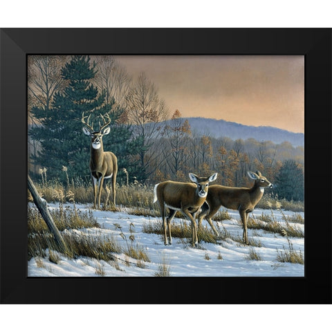 Prime Time - Whitetail Deer Black Modern Wood Framed Art Print by Goebel, Wilhelm